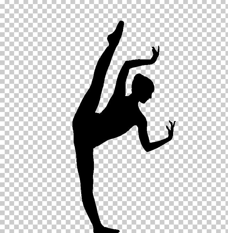 Ballet Dancer Ballroom Dance Free Dance PNG, Clipart, Animals, Arm, Ballet, Ballet Dancer, Ballroom Dance Free PNG Download