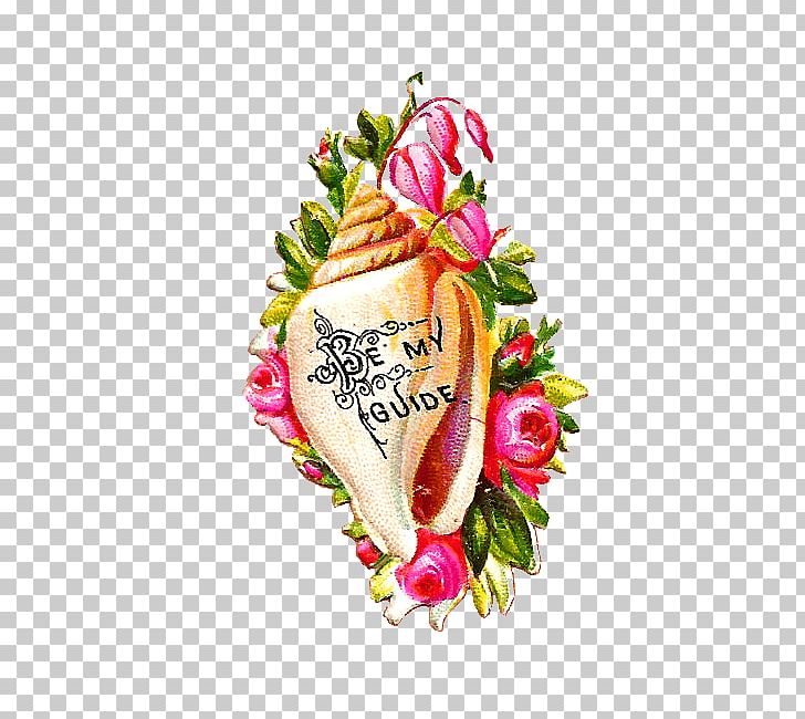 Conch Drawing PNG, Clipart, Conch, Cut Flowers, Decoupage, Drawing, Floral Design Free PNG Download