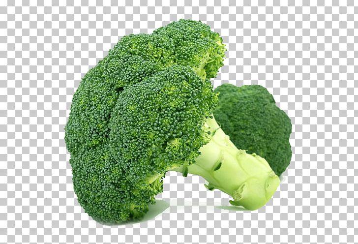 Cream Of Broccoli Soup Vegetable Organic Food PNG, Clipart, Broccoli, Broccolini, Broccoli Sprouts, Cabbage, Cauliflower Free PNG Download