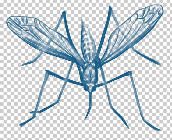 Mosquito Control Malaria Insect Disease PNG, Clipart, Arthropod, Artwork, Black And White, Cause Of Death, Cure Free PNG Download
