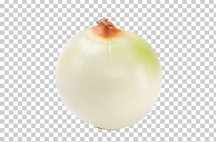 Onion Fruit PNG, Clipart, Banana Peel, Food, Free, Green, Green Free Png Material Free PNG Download