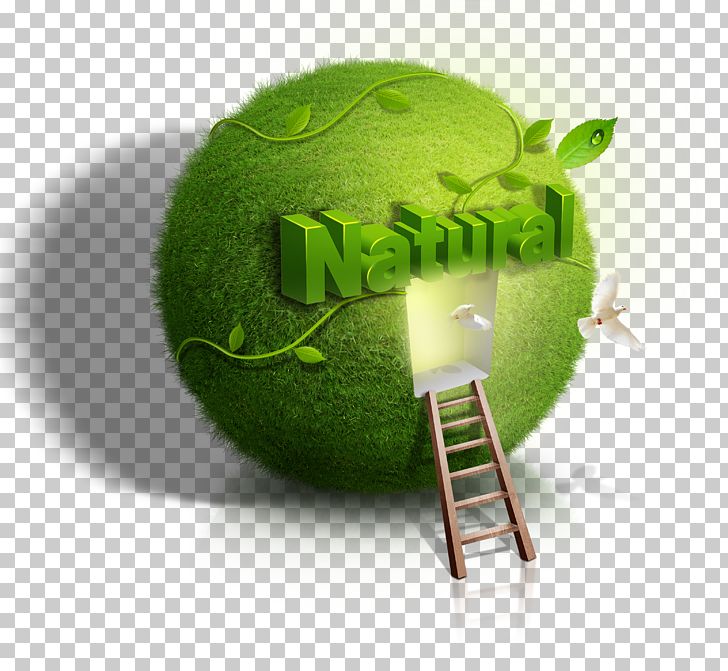 Poster Nature Ecology PNG, Clipart, Background Green, Ball, Banner, Color, Computer Wallpaper Free PNG Download