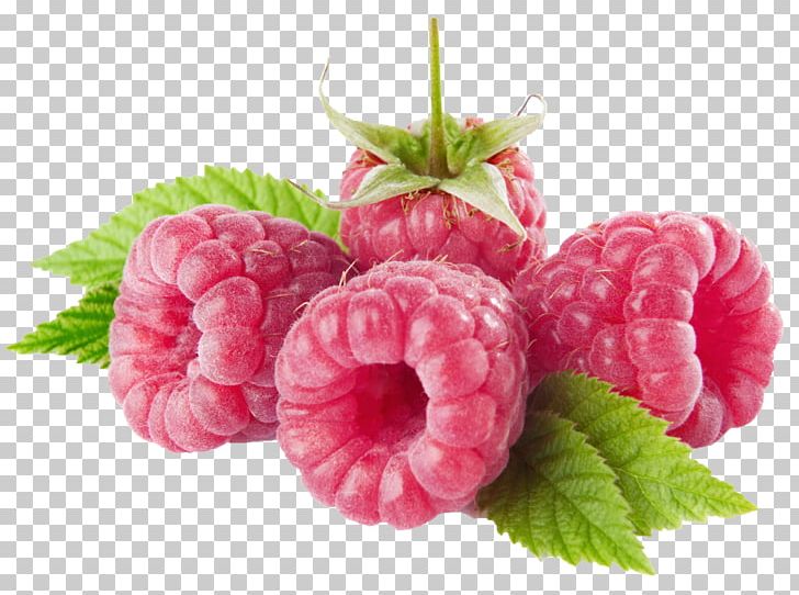 Red Raspberry PNG, Clipart, Berry, Black Raspberry, Clip Art, Food, Fruit Free PNG Download