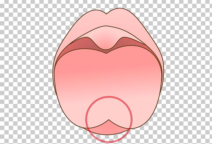 Eye Cheek Forehead Nose Lip PNG, Clipart, Cartoon, Cheek, Dental, Ear, Eye Free PNG Download