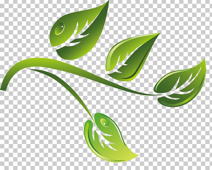 Green Tea PNG, Clipart, Animation, Branch, Cartoon Character, Cartoon Couple, Cartoon Eyes Free PNG Download