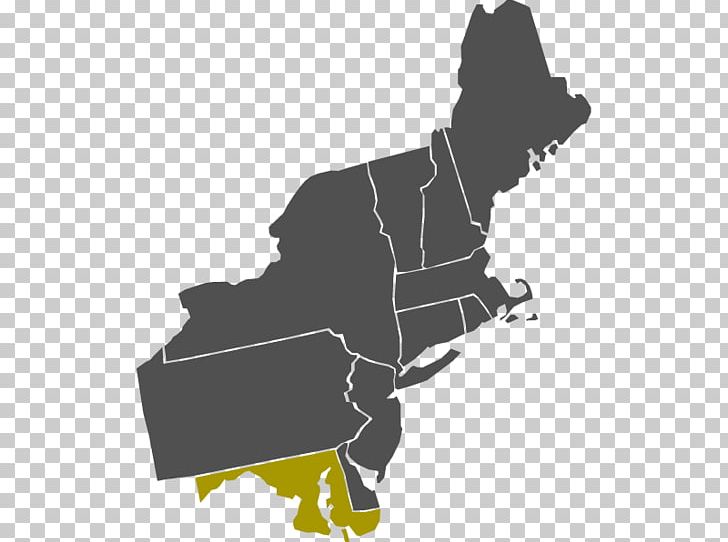 New York City Organization Federal Government Of The United States U.S. State US Presidential Election 2016 PNG, Clipart, Angle, Black, Business, Company, Gun Law In The United States Free PNG Download