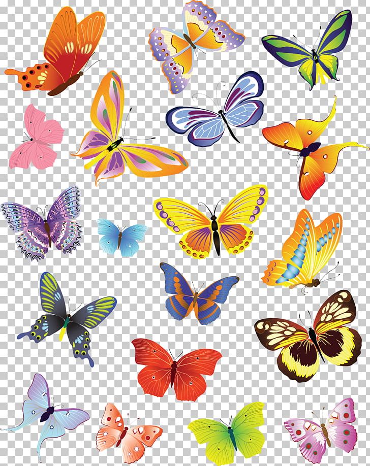 Butterfly Drawing PNG, Clipart, Artwork, Brush Footed Butterfly, Butterfly, Clip Art, Drawing Free PNG Download