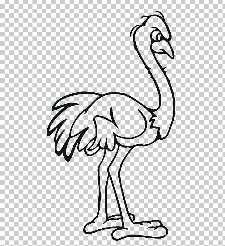 Common Ostrich Drawing Cartoon PNG, Clipart, Anger, Animals, Beak, Bird, Black And White Free PNG Download