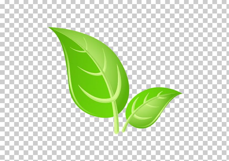 Leaf Green PNG, Clipart, Computer Wallpaper, Desktop Wallpaper, Green, Leaf, Plant Free PNG Download