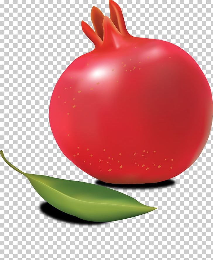 Pomegranate PNG, Clipart, Pomegranate Free PNG Download