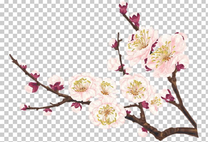 Poster Computer Graphics PNG, Clipart, Bloom, Blossom, Branch, Cherry Blossom, Computer Graphics Free PNG Download