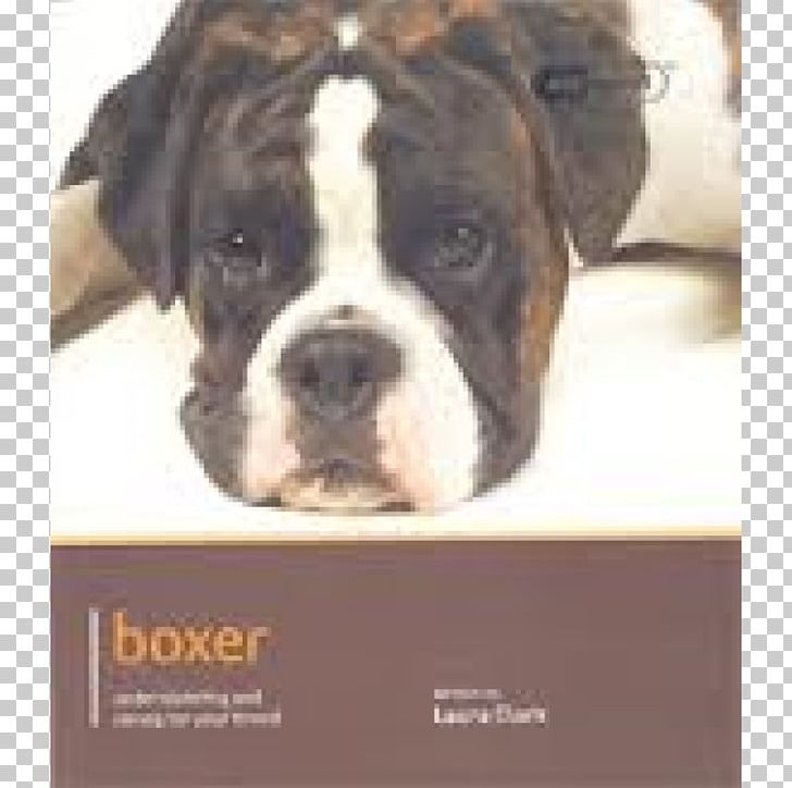 Valley Bulldog Toy Bulldog Olde English Bulldogge Boxer PNG, Clipart, Book, Boxer, Boxer Dog, Breed, Bulldog Free PNG Download
