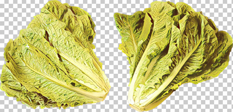 Salad PNG, Clipart, Cabbage, Caesar Salad, Cartoon, Chard, Flower Free PNG Download