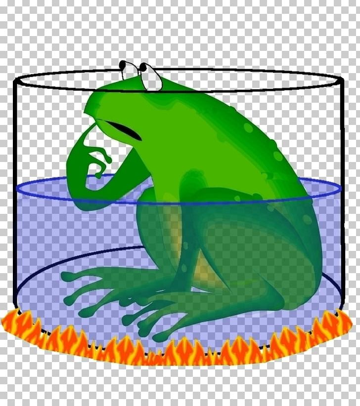 Frog Lithobates Clamitans Amphibians PNG, Clipart, Amphibian, Amphibians, Animals, Area, Artwork Free PNG Download
