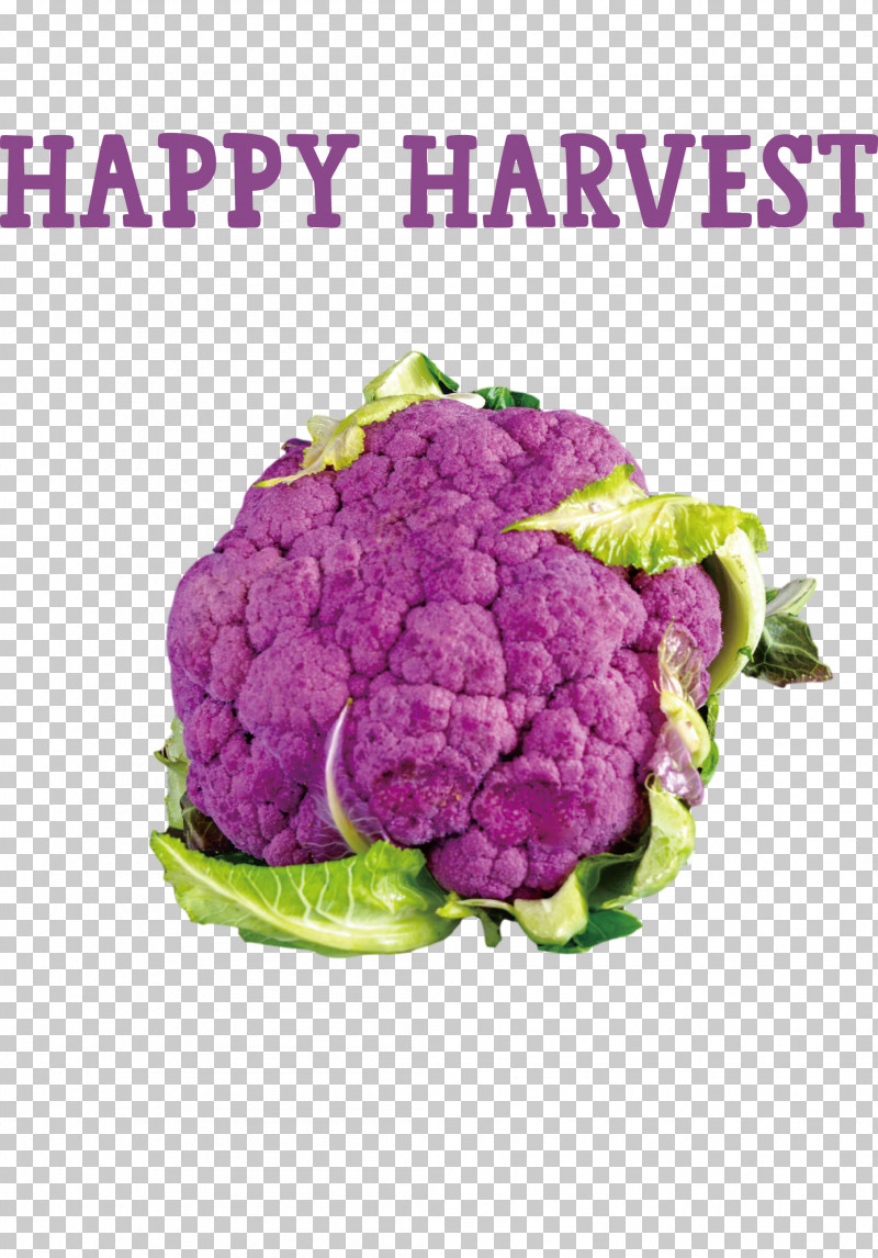 Happy Harvest Harvest Time PNG, Clipart, Bell Pepper, Brussels Sprout, Cauliflower, Chard, Chili Pepper Free PNG Download