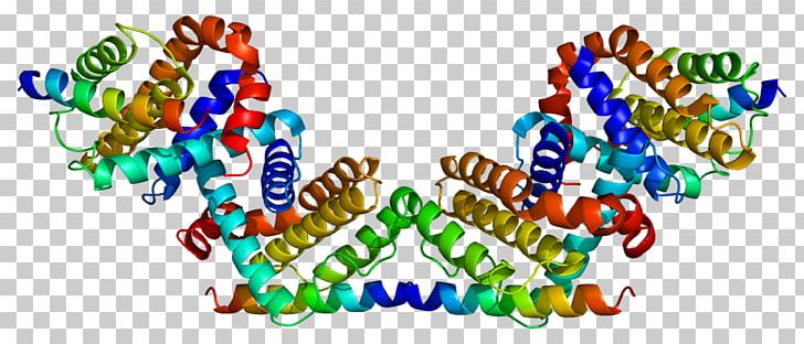 BECN1 Protein Phosphoinositide 3-kinase Bcl-2 Gene PNG, Clipart, Autophagy, Bcl2, Bclxl, Becn1, Brand Free PNG Download