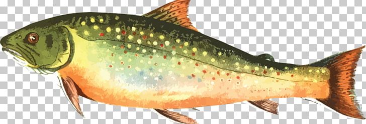 Brown Trout Rainbow Trout Computer Icons PNG, Clipart, Animal Figure, Bony Fish, Brook Trout, Brown Trout, Carp Free PNG Download
