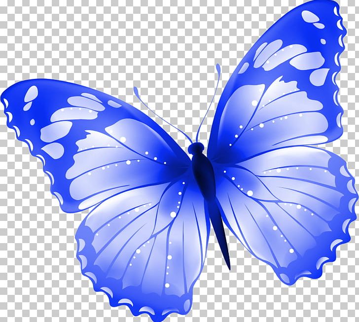 Butterfly Sticker Insect Wing White PNG, Clipart, Animation, Blue, Brush Footed Butterfly, Butterflies, Butterfly Free PNG Download