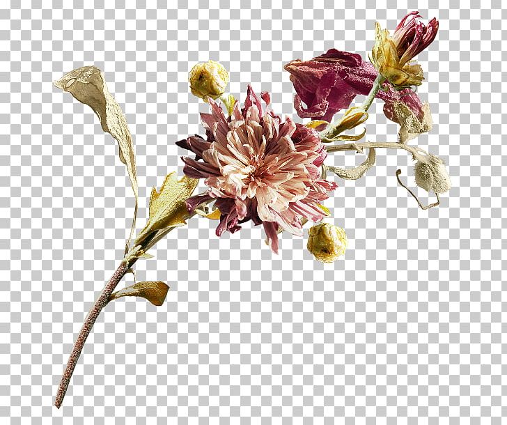 Cut Flowers Floral Design PNG, Clipart, Blossom, Branch, Cut Flowers, Deco, Desktop Wallpaper Free PNG Download