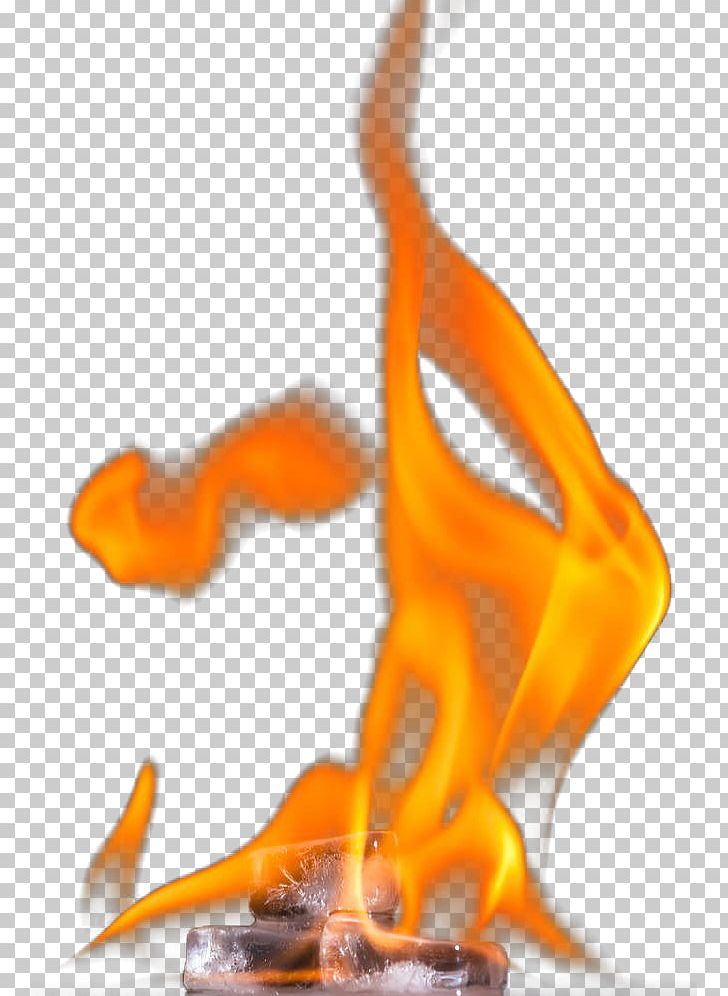 Flame Organism PNG, Clipart, Burn, Burning, Combustion, Cubes, Fire Free PNG Download