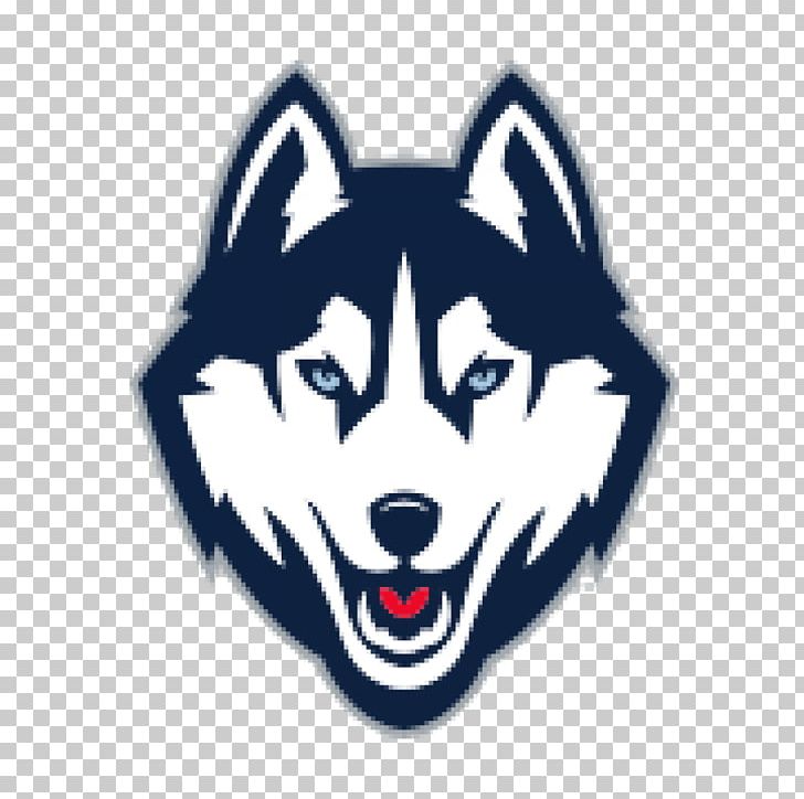 University Of Connecticut Connecticut Huskies Football Connecticut Huskies Women's Basketball Connecticut Huskies Men's Basketball Connecticut Huskies Men's Ice Hockey PNG, Clipart, American Football, Basketball, College Basketball, Connecticut, Connecticut Huskies Free PNG Download