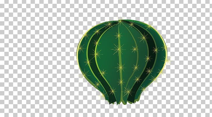 Cactaceae PNG, Clipart, Balloon, Cactaceae, Cactus, Cactus Cartoon, Cactus Flower Free PNG Download