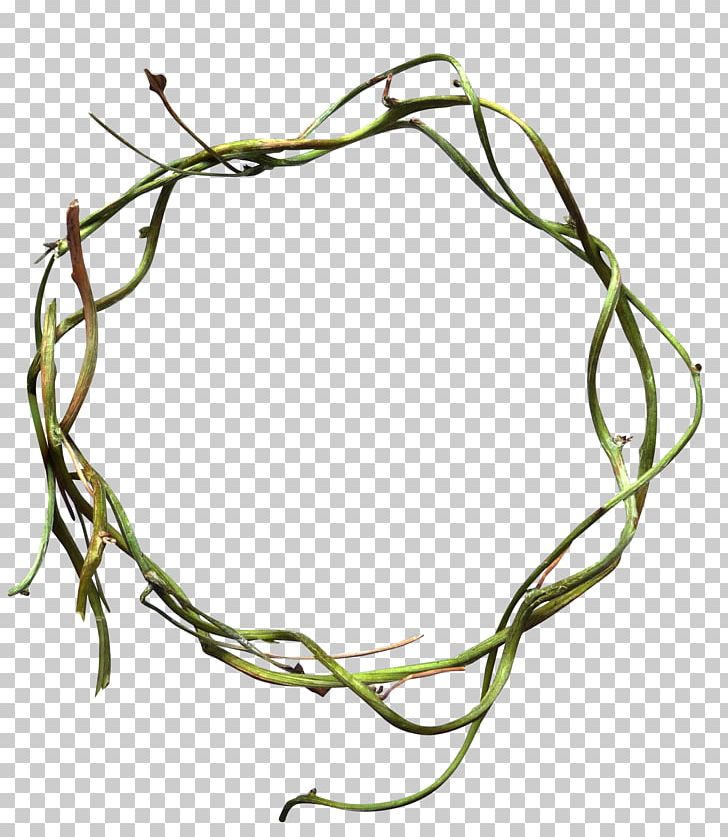 Circle Vine PNG, Clipart, Adobe Illustrator, Background Green, Branch, Circle, Disk Free PNG Download