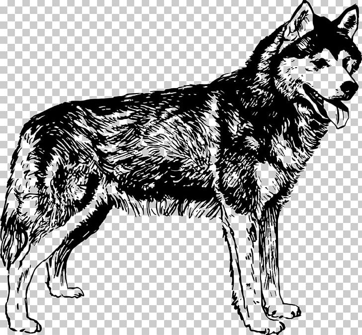 Siberian Husky Tamaskan Dog Northern Inuit Dog Utonagan Seppala Siberian Sleddog PNG, Clipart, Animal, Animals, Autocad Dxf, Black, Carnivoran Free PNG Download