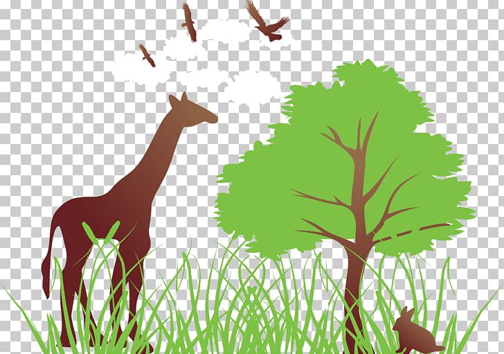 Tree PNG, Clipart, Animals, Autumn Leaves, Banana Leaves, Eating, Encapsulated Postscript Free PNG Download