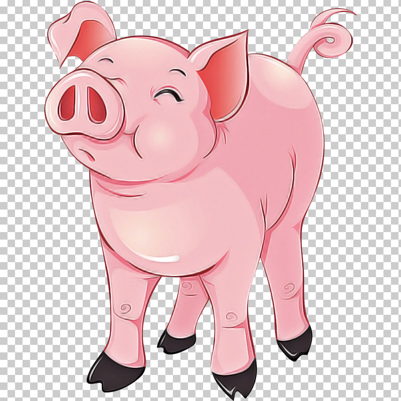 Cartoon Pink Suidae Nose Snout PNG, Clipart, Animation, Cartoon, Livestock, Nose, Pink Free PNG Download