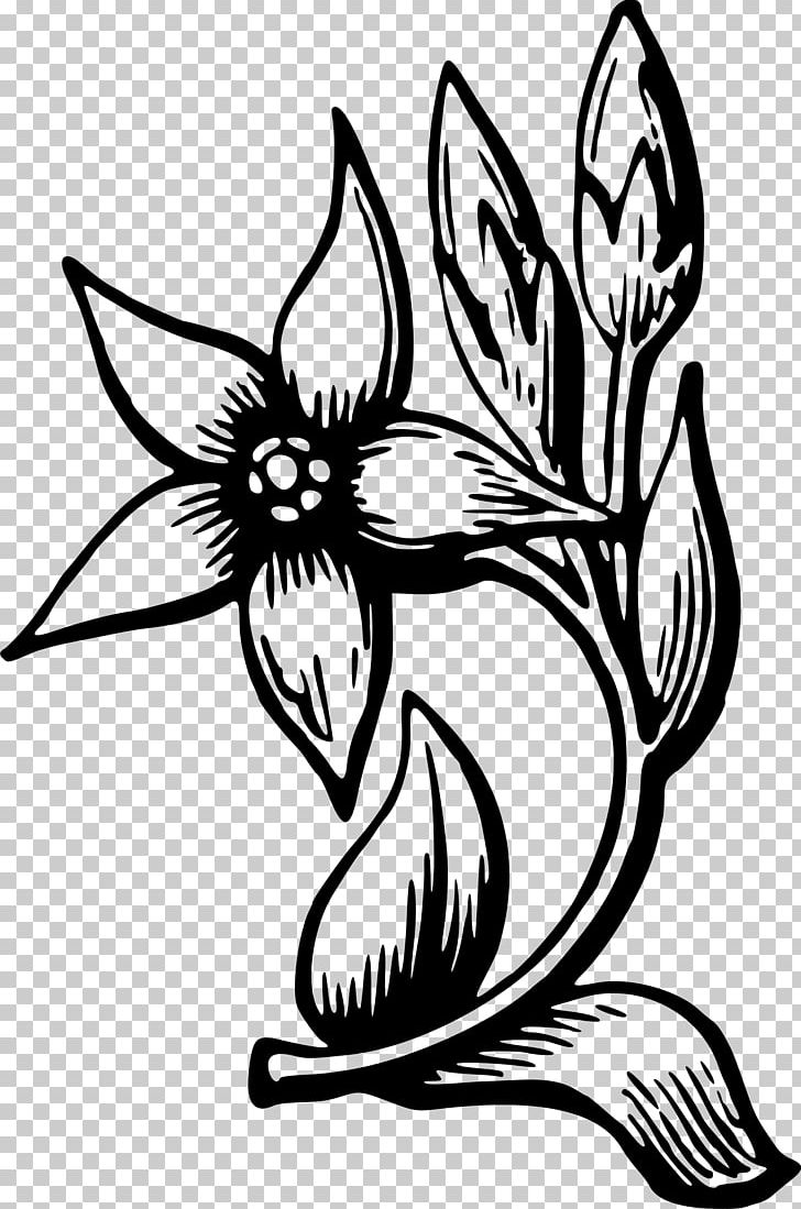 Flower Drawing PNG, Clipart, Art, Arts, Artwork, Black And White, Coloring Book Free PNG Download