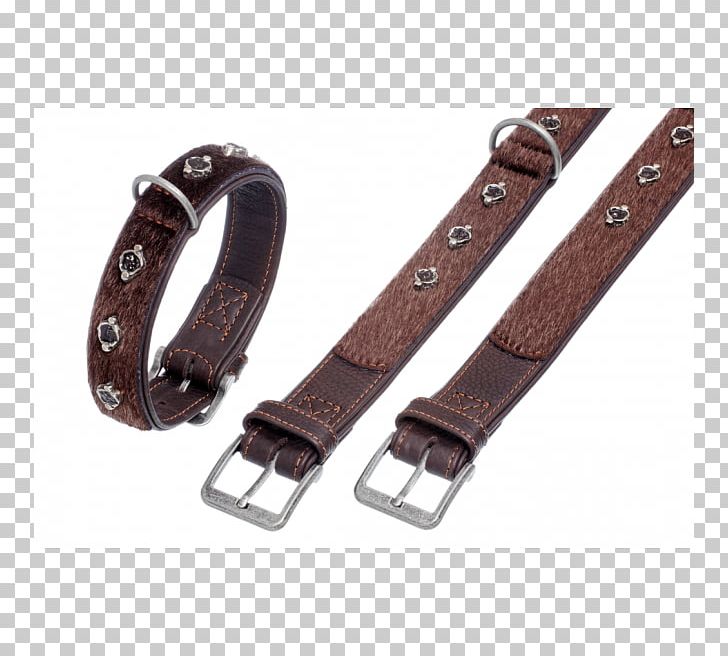 Dog Collar Dog Collar Leash Leather PNG, Clipart, Animals, Belt, Black, Bont, Collar Free PNG Download