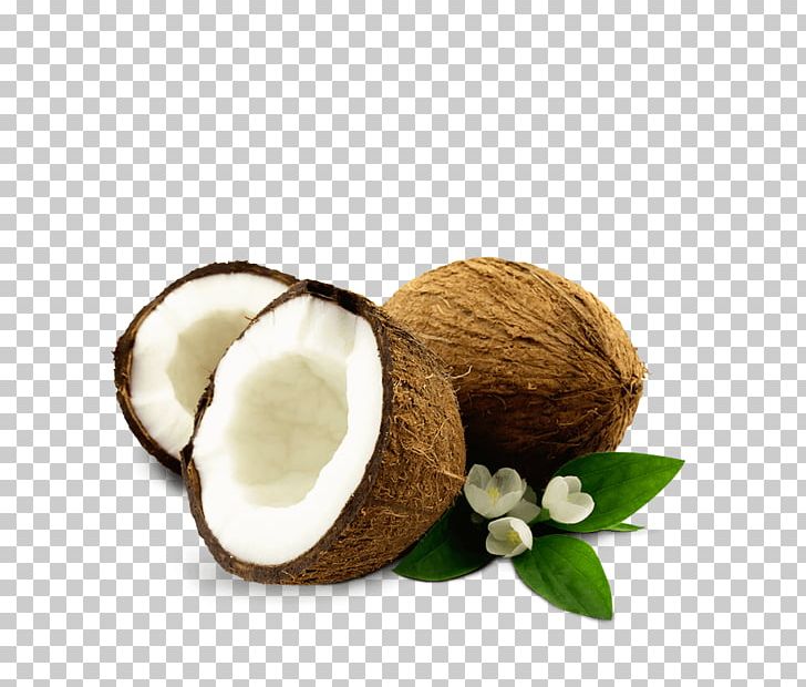 A To Z Exports And Imports(coconut Suppliers PNG, Clipart, Balsamic Vinegar, Coconut, Coconut Exporters, Coconut Oil, Coconut Water Free PNG Download