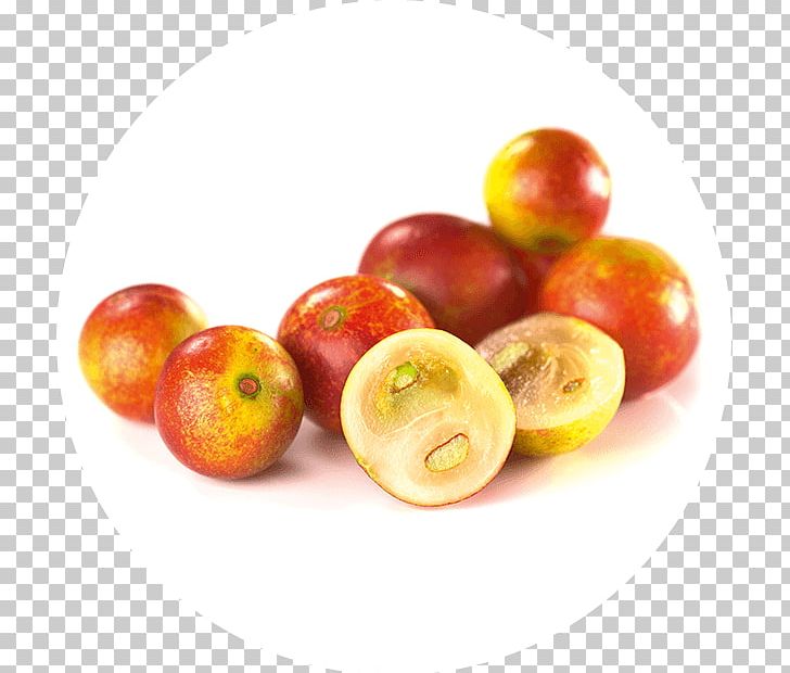 Camu Camu Amazon Rainforest Fruit Smoothie Food PNG, Clipart, Accessory Fruit, Amazon Rainforest, Apple, Barbados Cherry, Berry Free PNG Download