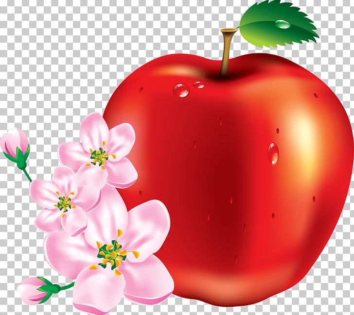 Apple Fruit PNG, Clipart, Apple, Australia, Behealthy, Berry, Colorful Free PNG Download