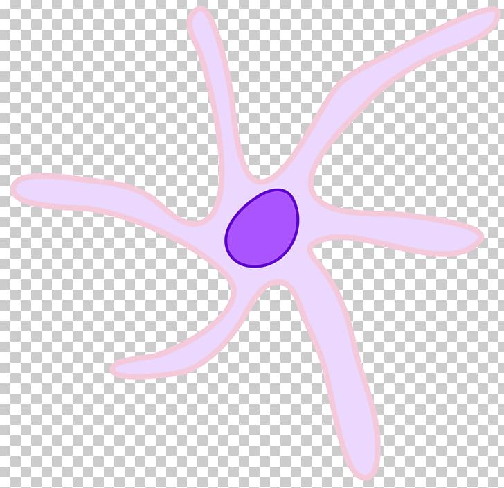 Dendritic Cell White Blood Cell Langerhans Cell Progenitor Cell PNG, Clipart, Blood, Blood Cell, Cell, Dendrite, Dendritic Cell Free PNG Download