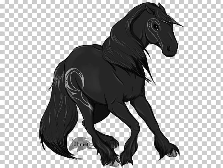 Mane Mustang Stallion Foal Colt PNG, Clipart, Black, Black And White, Black M, Bridle, Colt Free PNG Download