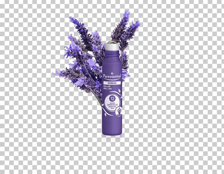 English Lavender Lavender Oil Flower French Lavender Plant PNG, Clipart, English Lavender, Essential Oil, Flower, French Lavender, Herb Free PNG Download