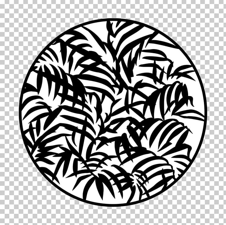Fern Gobo Leaf Lighting Pattern PNG, Clipart, Apollo, Area, Black And White, Circle, Fern Free PNG Download