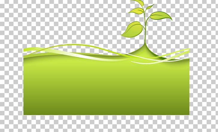 Green Google S Environmental Protection PNG, Clipart, Brand, Christmas Tree, Computer, Computer Wallpaper, Family Tree Free PNG Download