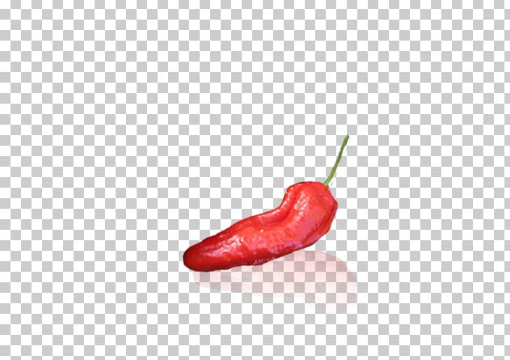 Tabasco Pepper Serrano Pepper Bird's Eye Chili Cayenne Pepper Malagueta Pepper PNG, Clipart,  Free PNG Download