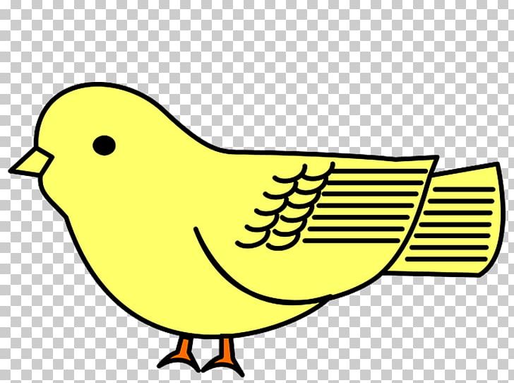 Bird Cartoon Drawing PNG, Clipart, Animals, Animated Cartoon, Area, Artwork, Beak Free PNG Download