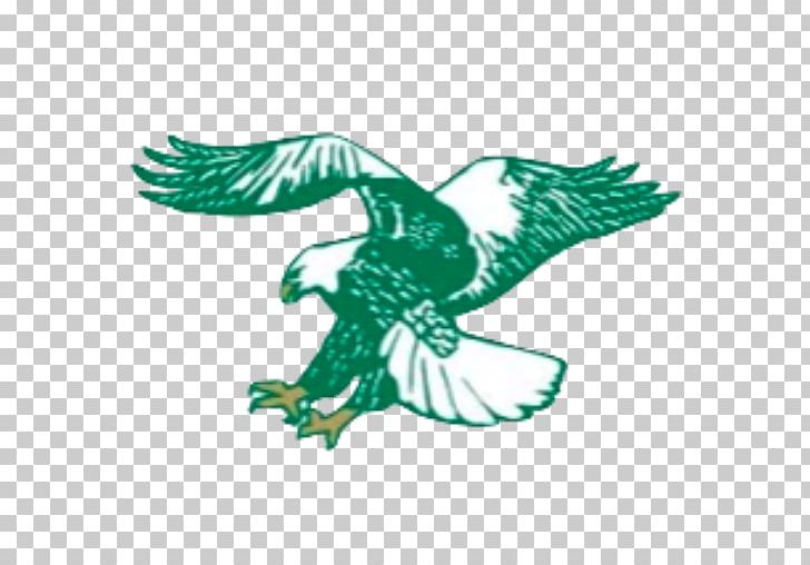 Casa View Elementary School Eagle National Secondary School PNG, Clipart, Animals, Bird, Bird Of Prey, Crop, Ducks Geese And Swans Free PNG Download