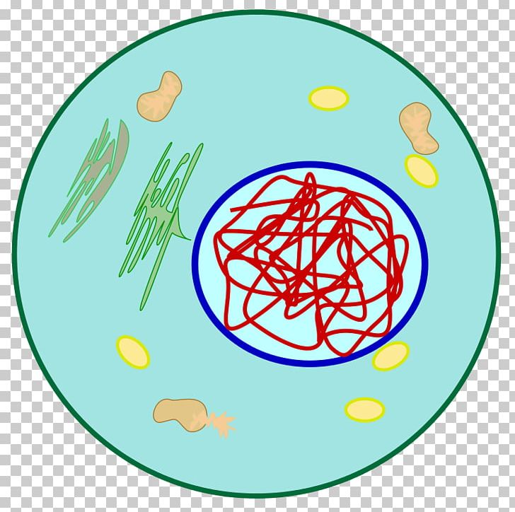 Cell DNA Organism PNG, Clipart, Area, Cell, Circle, Dna, Line Free PNG Download