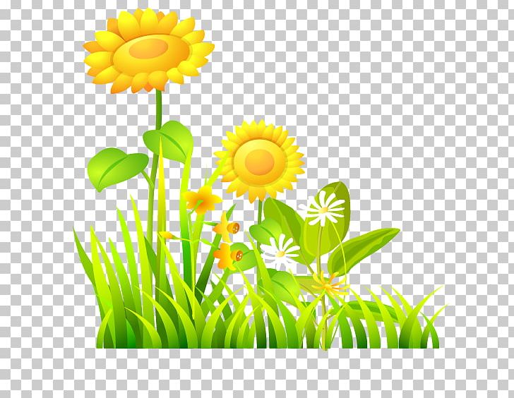 Common Sunflower PNG, Clipart, Adobe Illustrator, Artificial Grass, Dahlia, Daisy Family, Flower Free PNG Download