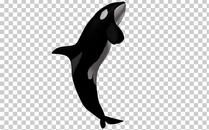 Dolphin Killer Whale Desktop PNG, Clipart, Baleen Whale, Black, Black And White, Blowhole, Bowhead Whale Free PNG Download