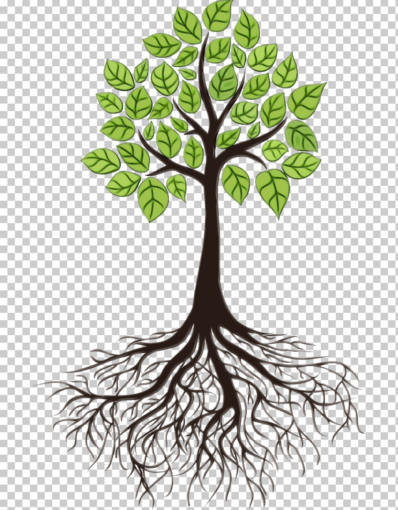 Tree Root PNG, Clipart, Branch, Cartoon, Doodle, Drawing, Line Art Free PNG  Download