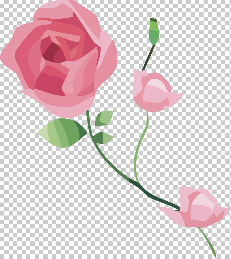 Garden Roses PNG, Clipart, Bud, Cabbage Rose, Cut Flowers, Flora, Floral Design Free PNG Download