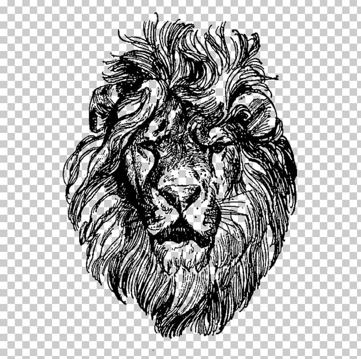 Lionhead Rabbit Drawing PNG, Clipart, Animals, Art, Big Cats, Black And White, Carnivoran Free PNG Download