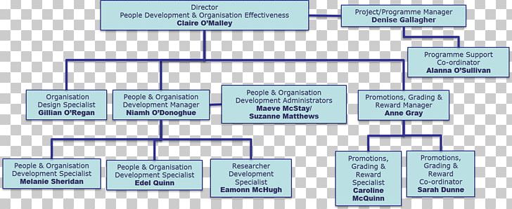 Organizational Effectiveness Human Resource Organizational Chart PNG, Clipart, Angle, Area, Background Check, Diagram, Human Resource Free PNG Download
